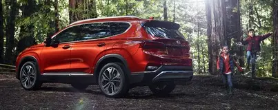 Hyundai Santa Fe: Owners and Service manuals